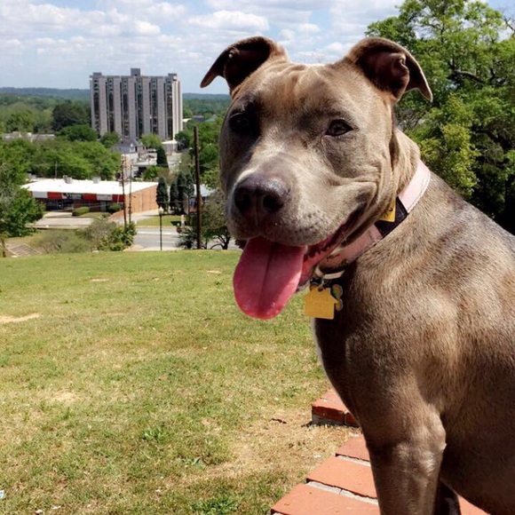 💕Meet your Posher!💕 - Picture 6 of 8