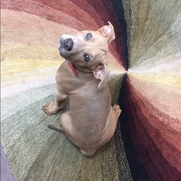 💕Meet your Posher!💕 - Picture 7 of 8