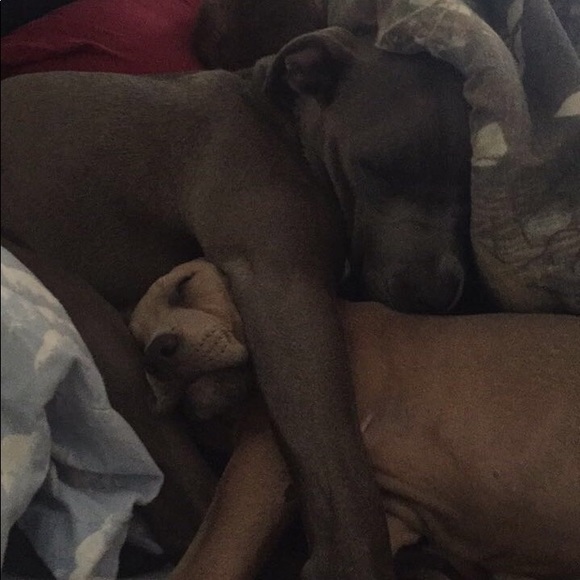 💕Meet your Posher!💕 - Picture 8 of 8