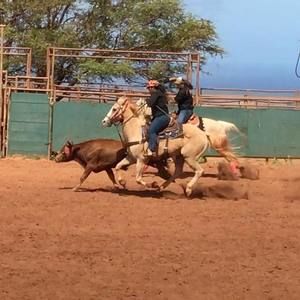 Meet your Posher, Lucy