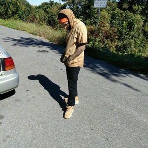 Meet your Posher, Otis