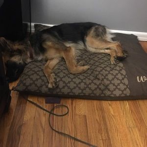 Meet your Posher, Caroline