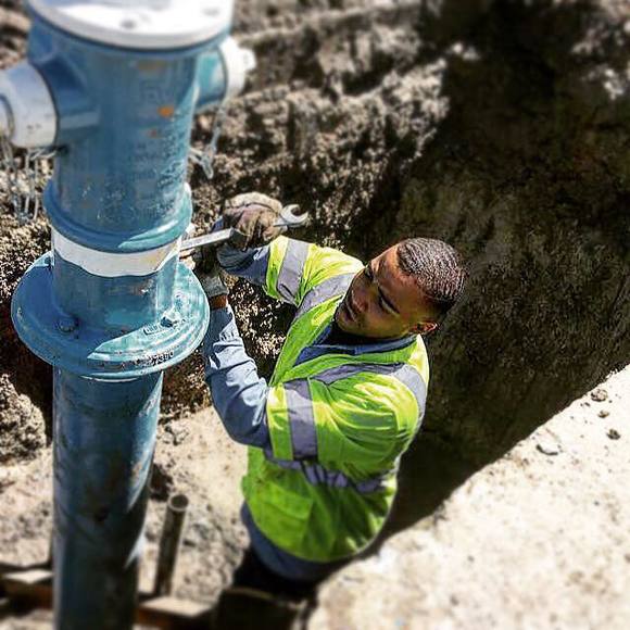 Meet your Posher, Patrick - Picture 1 of 1