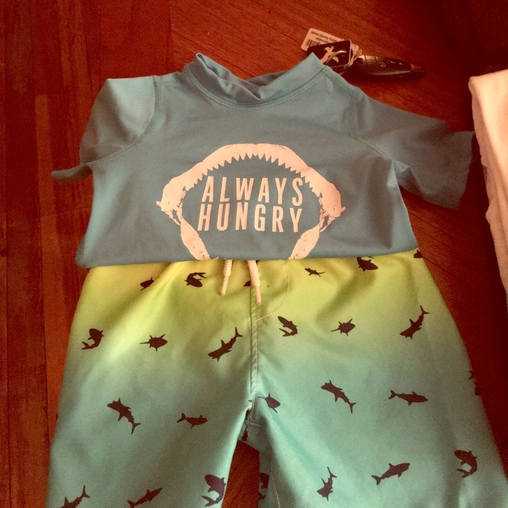 Toddler boys size 2 t swimming trunks and shirt