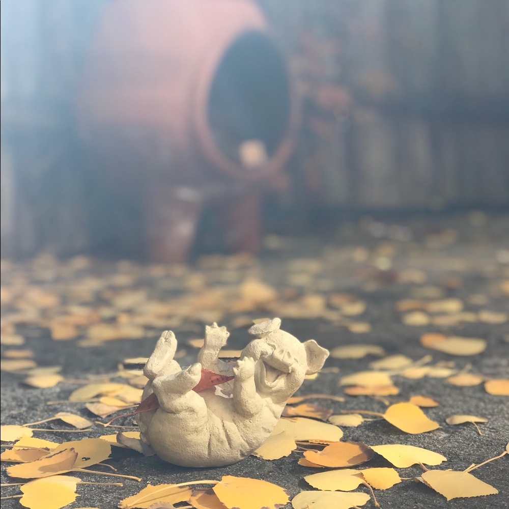 Meet your Posher, Helena