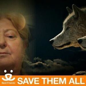 Meet your Posher, Laurarose