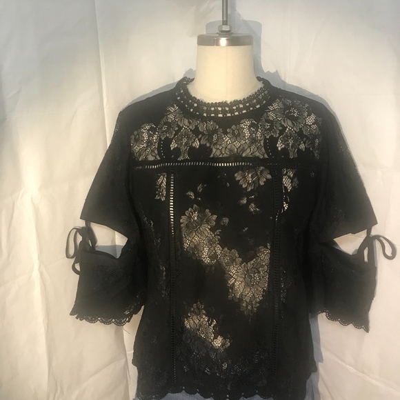 Roly Poly Black Lace Blouse - Picture 4 of 5