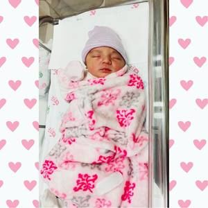 Meet your Posher, Joanna lizet