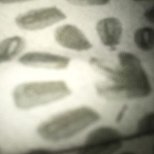 Meet your Posher, Leah