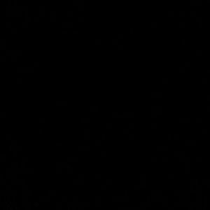 Meet your Posher, Darius