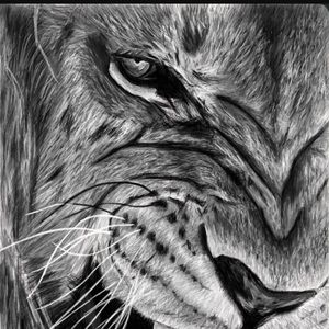 Meet your Posher, Will