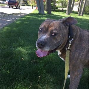 Meet your Posher, Laura