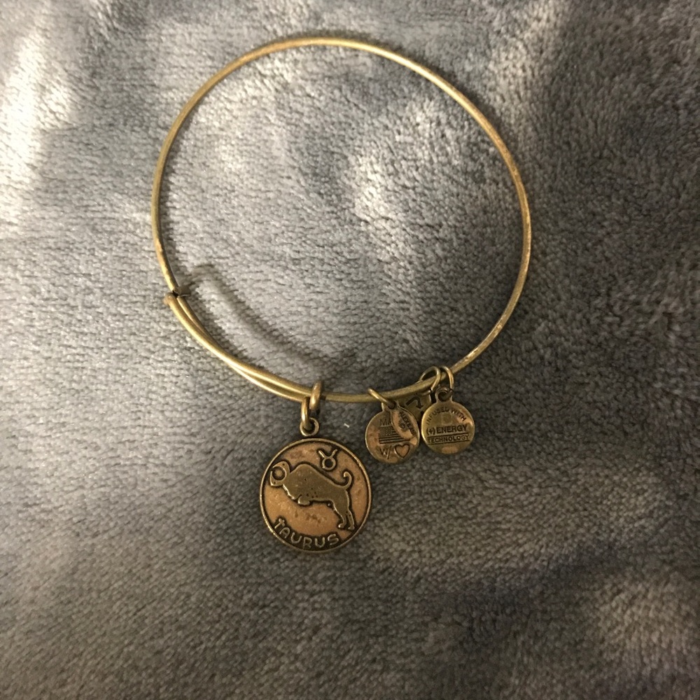 Alex And Ani Taurus Bangle