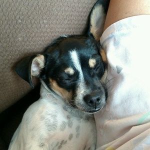 Meet your Posher, Deah