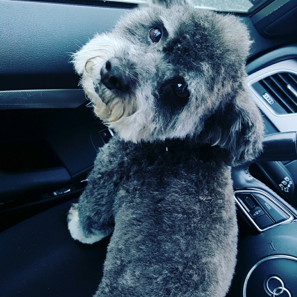 Meet your Posher, Nashe