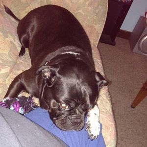 Meet your Posher, Wanda