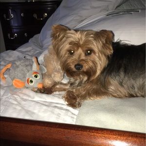 Meet your Posher, Andrea