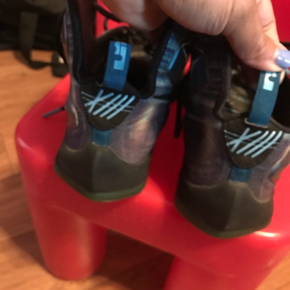 Lebrons - Picture 3 of 4