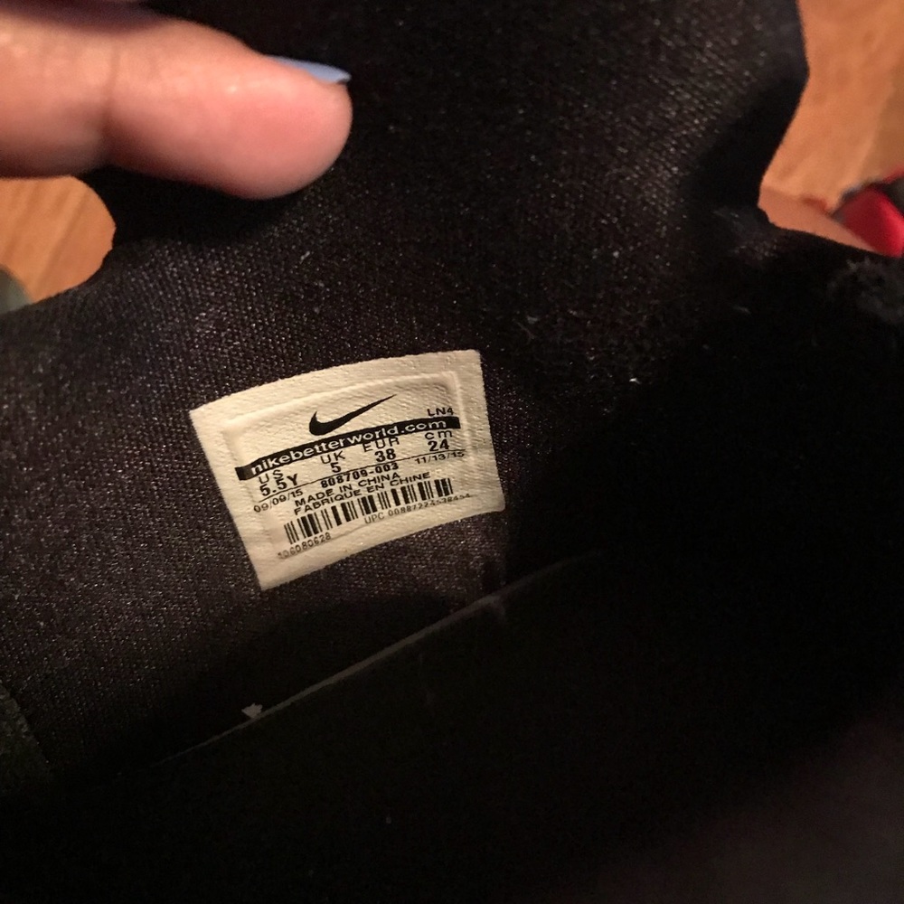 Lebrons - Picture 4 of 4