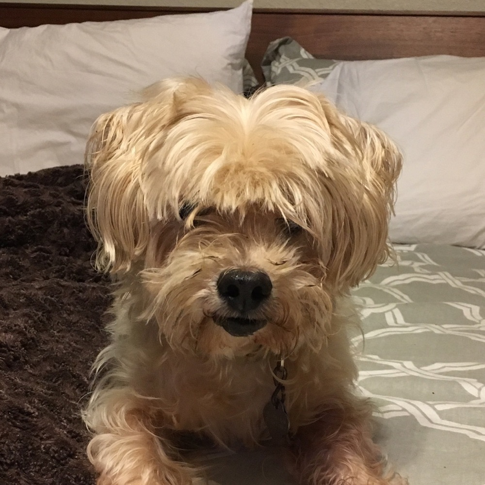 Meet your Posher, Coleen