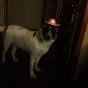 Meet your Posher, Teresa