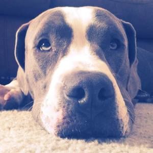 Meet your Posher, Austin