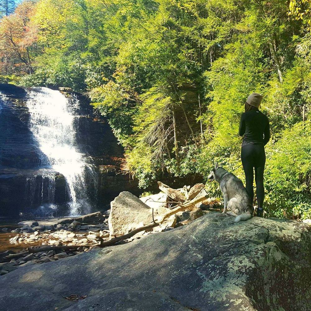 Meet your Posher, Morgan