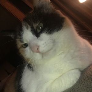 Meet your Posher, Emma