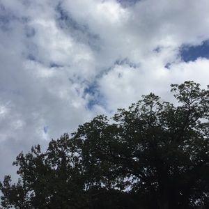 Meet your Posher, Esther