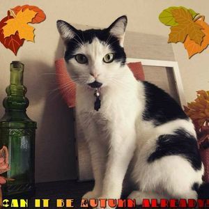 Meet your Posher, Ferdie