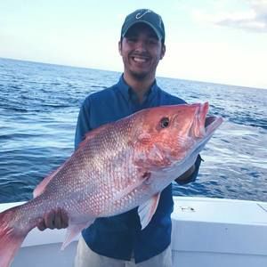 Meet your Posher, Griffin