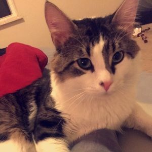 Meet your Posher, Waleed