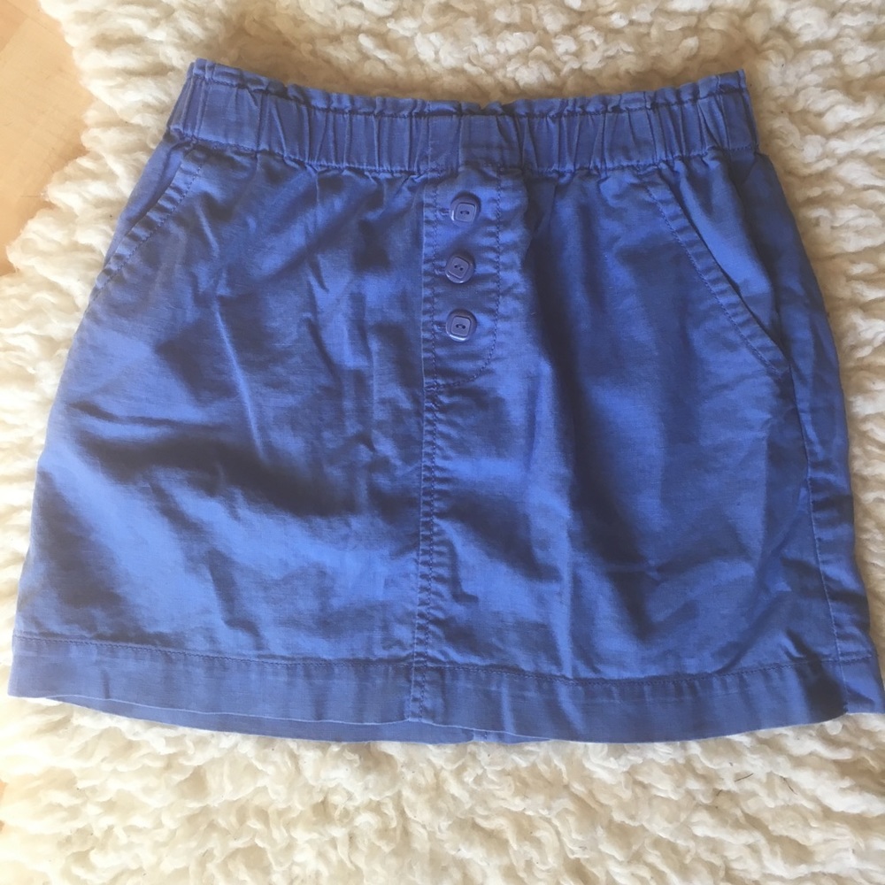 Fossil mini skirt