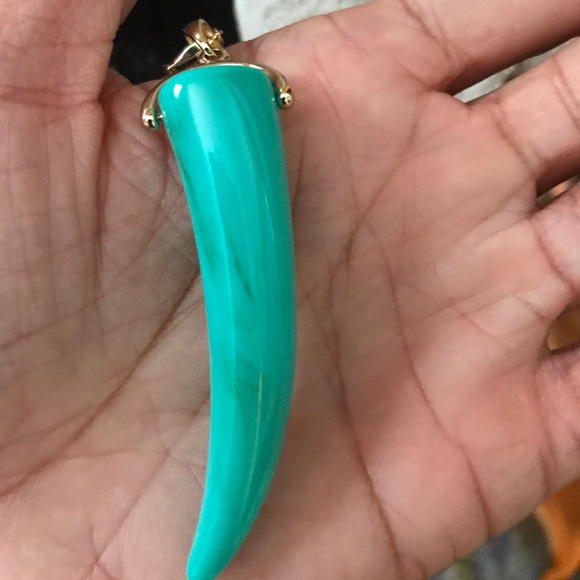 Jewelry - Horn necklace pendant