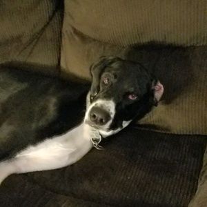 Meet your Posher, Caren