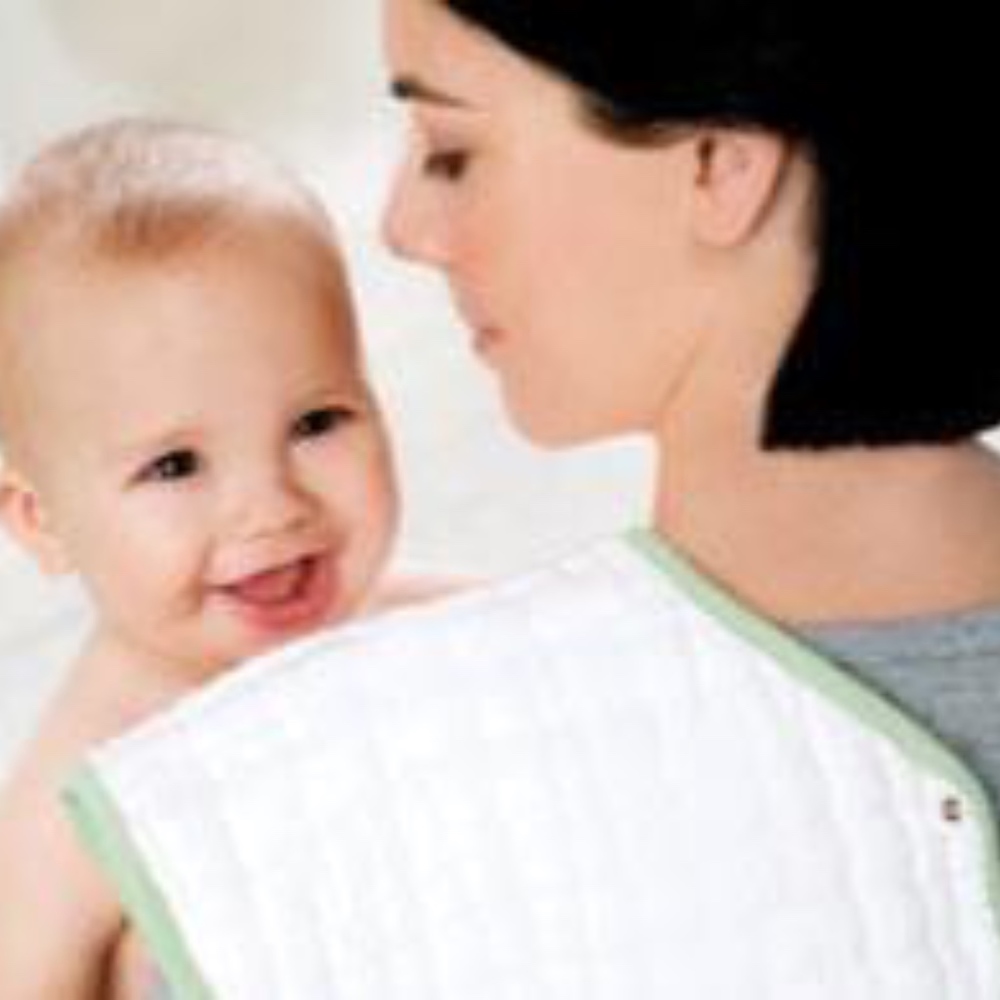 aden + anais 2 Pk Muslin Burpy Bib Princess Possie - Picture 5 of 5