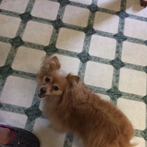 Meet your Posher, Heather