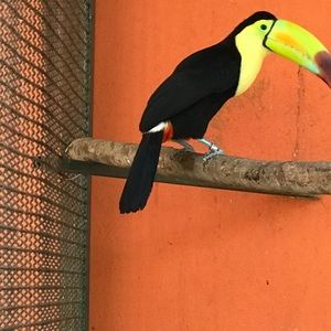 Meet your Posher, Vania