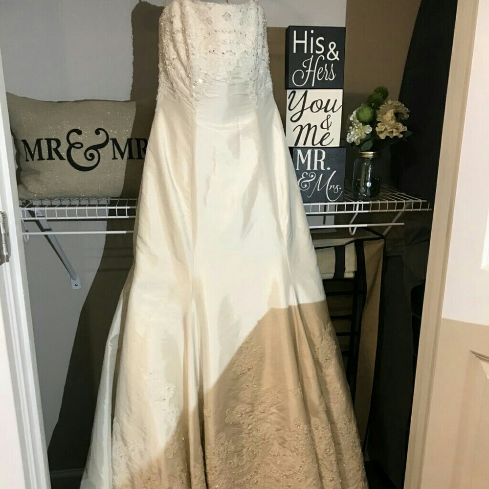 Casablanca wedding dress