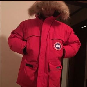 Canada goose