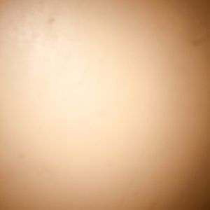 Meet your Posher, Shelton