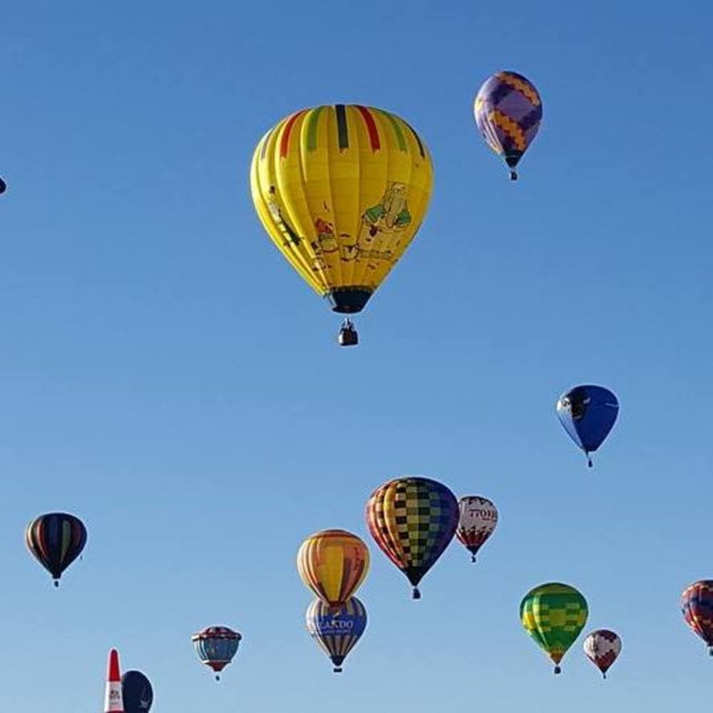 Meet your Posher, Barbara