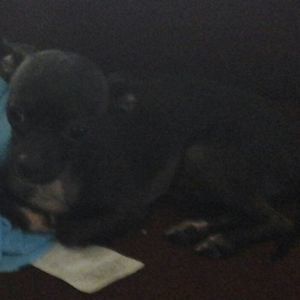 Meet your Posher, Nick