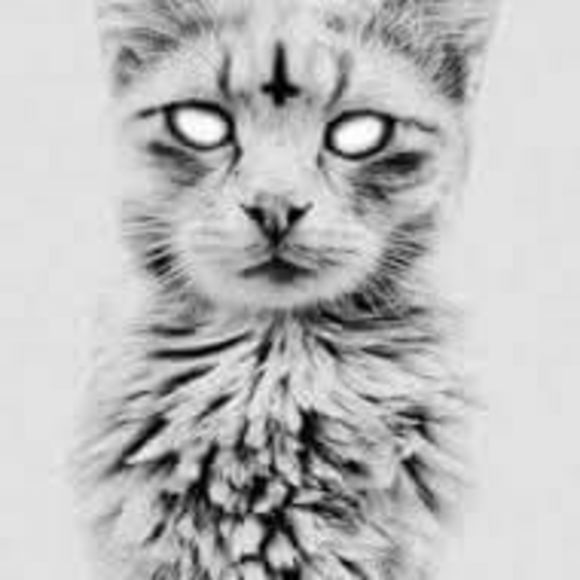 Meet your Posher, Ernest - Picture 1 of 1