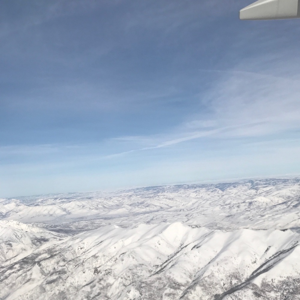 Meet your Posher, Julia