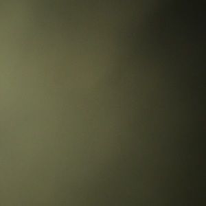 Meet your Posher, Will