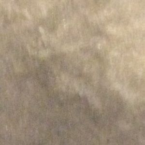 Meet your Posher, Julian