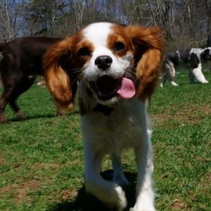 Meet your Posher, Brenda