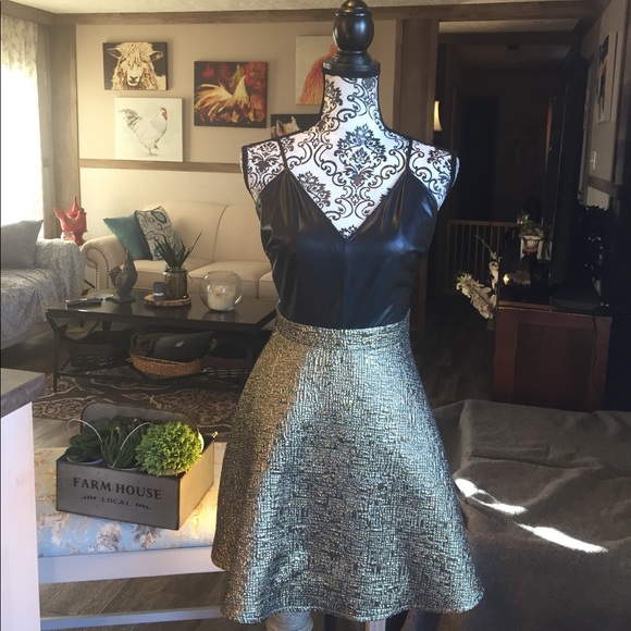 AKIRA Dresses & Skirts - NWOT Akira Chicago Faux Leather Skater Dress