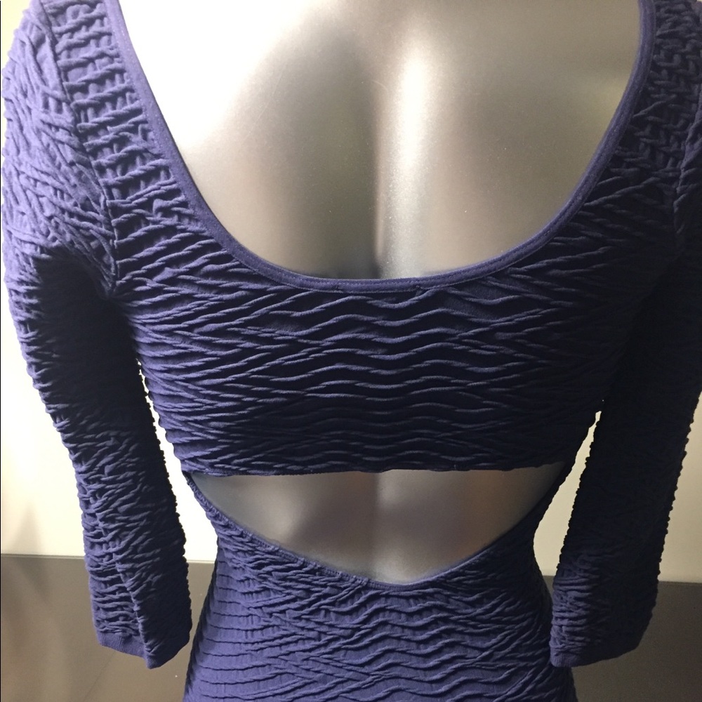 Small purple body on dress. - Picture 1 of 5